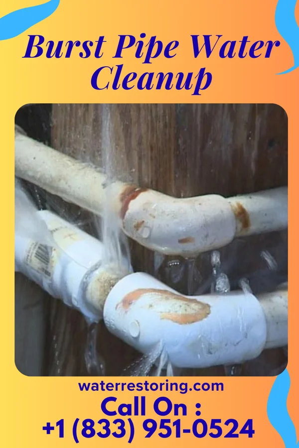 Burst Pipe Water Cleanup in Leland, NC